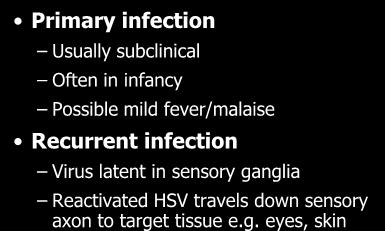Systemic HSV infection Primary infection Usually subclinical Often in infancy Possible mild fever/malaise Recurrent infection