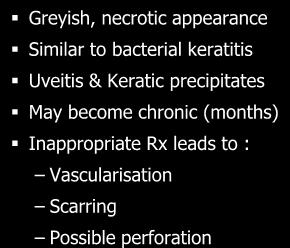 HSV Stromal keratitis Greyish, necrotic appearance Similar to bacterial keratitis Uveitis & Keratic precipitates