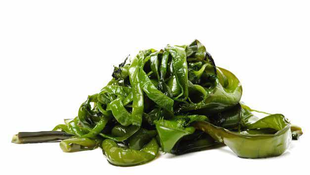 MYFerm Undaria pinnatifida is commonly called sea mustard in English, mi-yok in Korean, and wakame in Japanese. It is an edible brown seaweed native to and growing in East Asia.