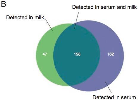 mirnas in bovine milk Identification and characterization of micrornas in raw milk during different periods of lactation, commercial fluid, and powdered milk products. Chen et. Al, Cell research 2010.