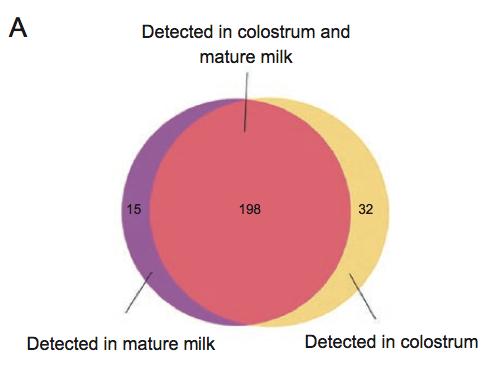 relatively consistent expression throughout lactation expression profile of these 7milk-specific mirnas can serve as an ideal biomarker for discriminating poor-quality or manipulated milk from pure