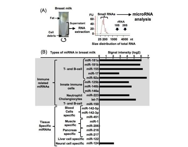 Identification of human milk mirnas microrna as a new immune-regulatory agent in breast milk. Kosaka et al.
