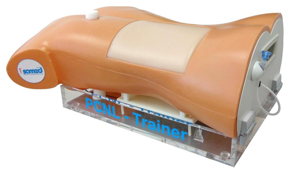 PCNL training device LS 40 2.0 Puncturing, to dilate with a bougie and the use of the ultrasound machine has not to be difficult.