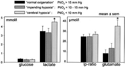Bedside microdialysis Fig. 2. Bar graphs showing the extracellular concentrations of microdialysis parameters during different brain tissue PO 2 ranges.
