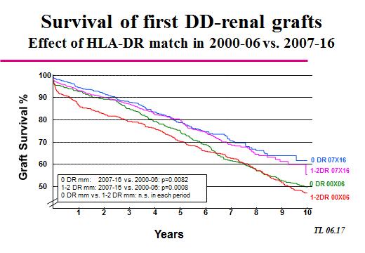 The effect of HLA-matching on the survival of grafts from deceased donors has been disputed over the years.