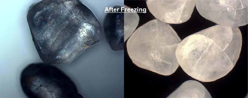 freeze/thaw cycle if the product is not designed to be stable under freezing and thawing