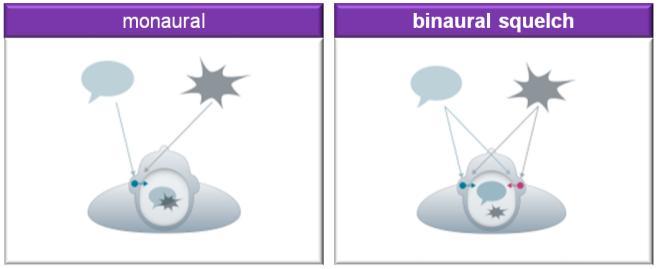Figure1. Binaural redundancy allows the brain to create a central auditory perception that is better than the individual signal picked up by either ear. Figure 3.