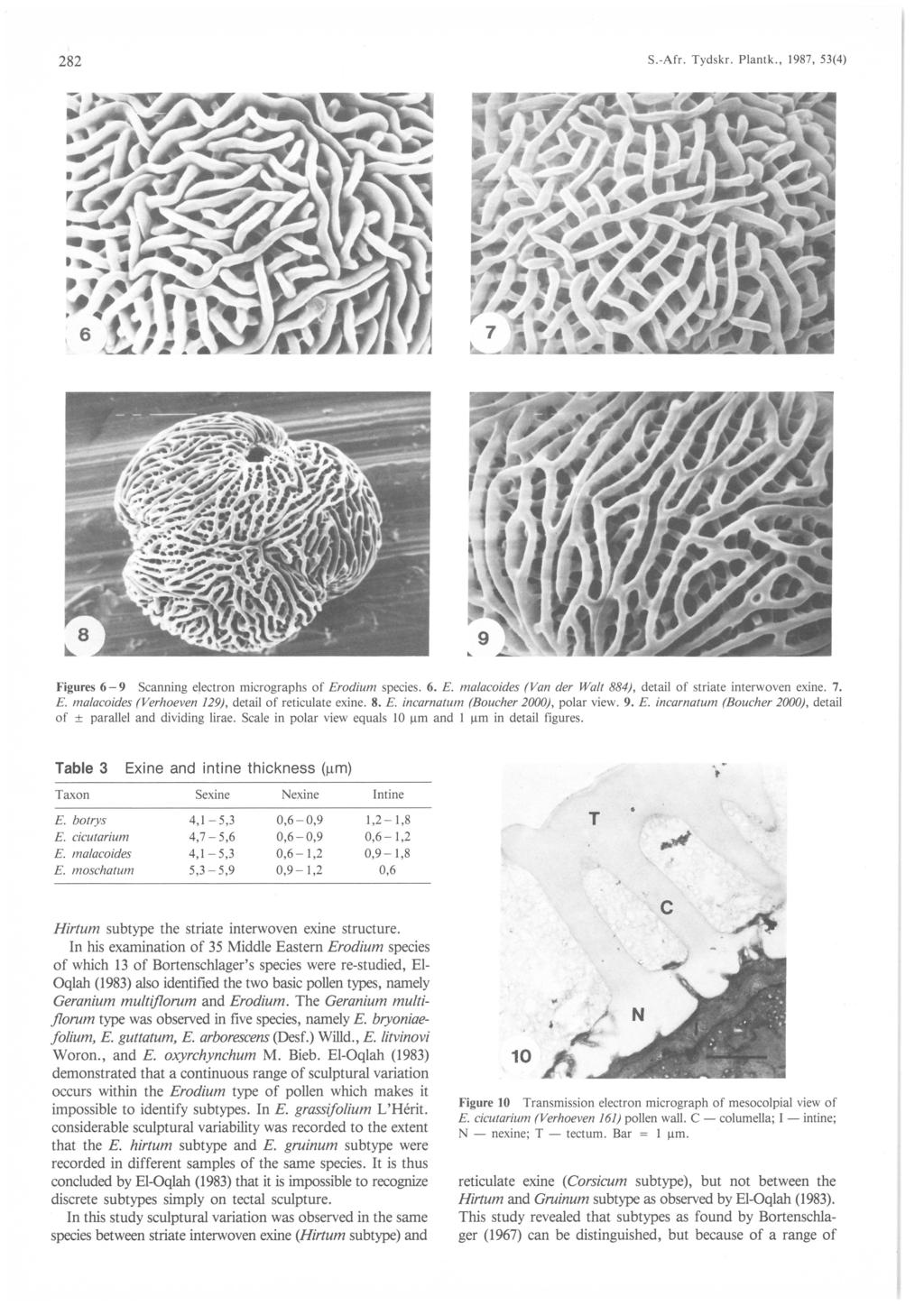 S.-Afr. Tydskr. Plantk., 987, 5() 8 Figures 6-9 Scanning electron micrographs of Erodium species. 6. malacoides (Van der Walt 88), detail of striate interwoven exine. 7.
