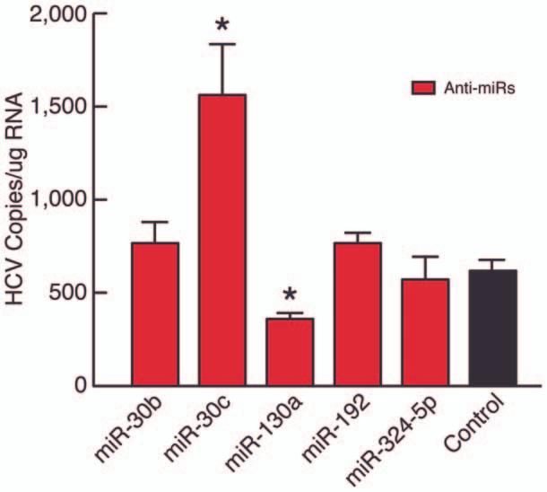expression. Small Non-coding RNA RNU44 was used as an endogenous control for all amplifications. Transfection of mirna Inhibitors Selected mirna Anti-miRs (inhibitor) were synthesized by Ambion Inc.
