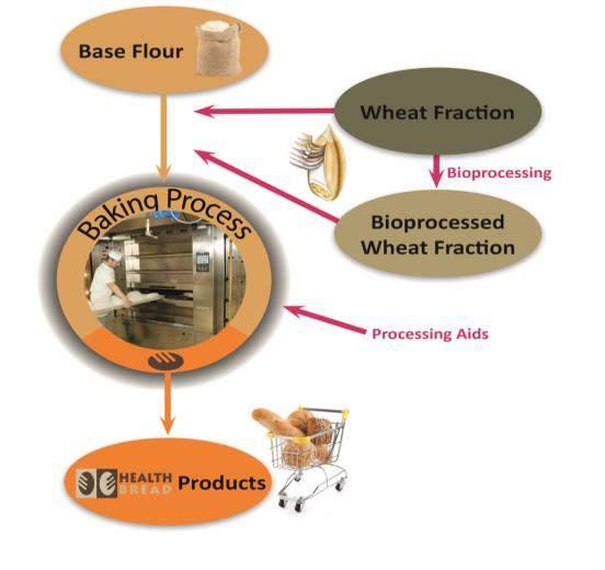 HEALTHBREAD APPLICATION Selection of FLOUR MIX Base flour + wheat fraction (aleurone, whole gr