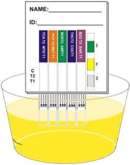 PROCEDURE FOR DRUG TEST WITH ADULTERATION TEST Preparation: 1. Allow the test device, and/or controls to equilibrate to room temperature (15-30 C) prior to testing. 2.