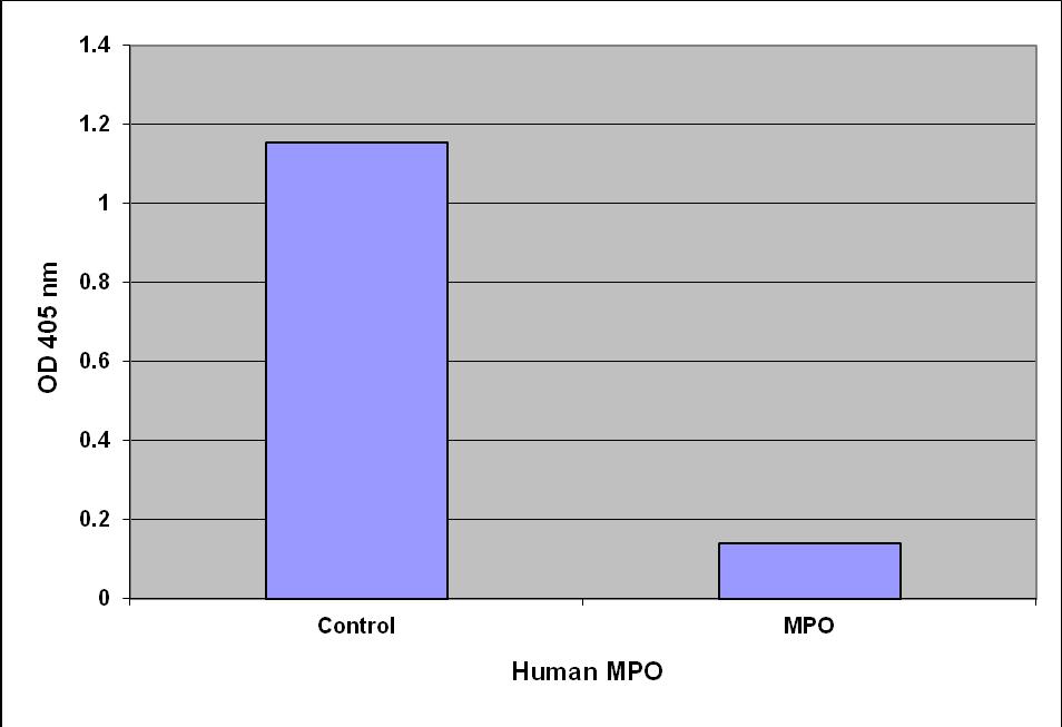 1.4 1.2 OD 405nm 1 0.8 0.6 0.4 0.2 0 0 10 20 30 40 50 60 TNB Chromogen (nmole/well) Figure 2. TNB Chromogen Standard Curve. Figure 3: Purified Human MPO.