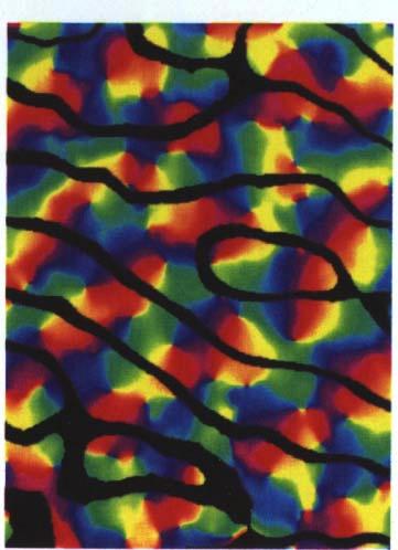 Cortical Map of Orientation Preference Optical Imaging Blasdel, 1992 Outer layers (2/3)