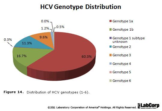Page 12 of 16 Figure 14, indicates that Genotype 1 is identified in about 77% of cases, which is consistent with previous publications of the distribution of HCV genotypes in the US.