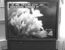 ASSISTIVE TECHNOLOGY OPTIONS CLOSED CAPTIONING All Televisions built after 1993 and 13 or greater include a closed caption decoder.
