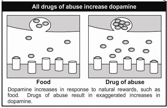 Dopamine is one type of neurotransmitter that is produced in areas of the reward regions of the brain that are associated with pleasure.