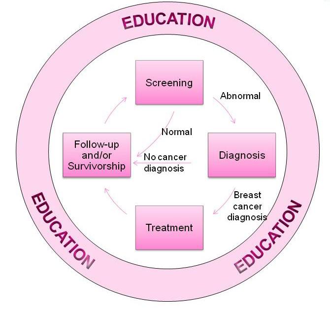and breast cancer was not found, she would go into the follow-up loop, and return for screening at the recommended interval.