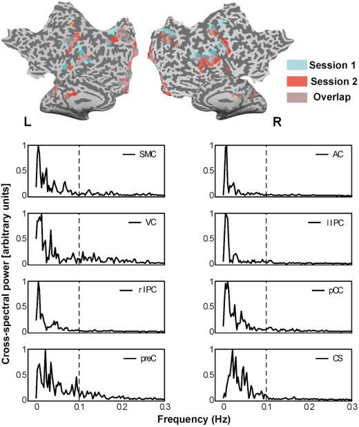 Van De Ven et al. Figure 4. Upper panel: Spatiotemporal replication of COI functional connectivity maps of session 1 (blue) and 2 (red) of Subject 1. Overlapping regions are depicted in purple.