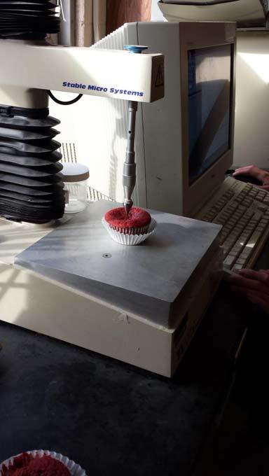 Figure 7: Texture Analyzer and Water Activity of Cupcakes Discussion: We intended to use ground, cranberry fruit fiber in our cupcakes but we were unable to acquire it.