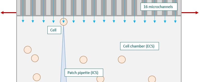 microchannels Requires small volumes of compound