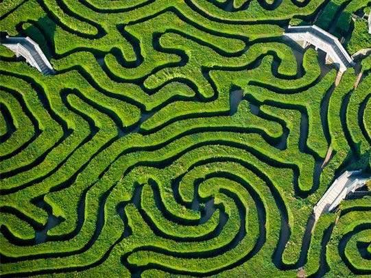 We need to collect and use evidence to navigate the maze Business can do positive