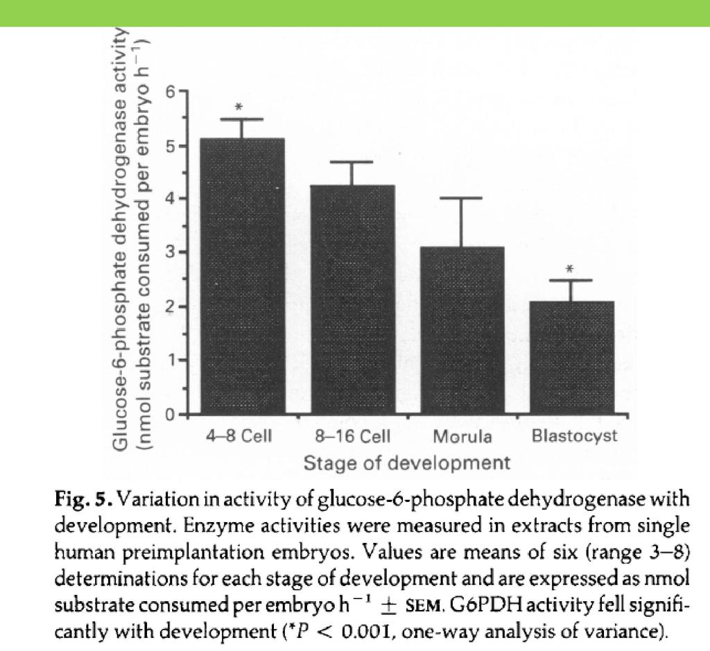 Glucose utilization during different stages of preimplantation embryo