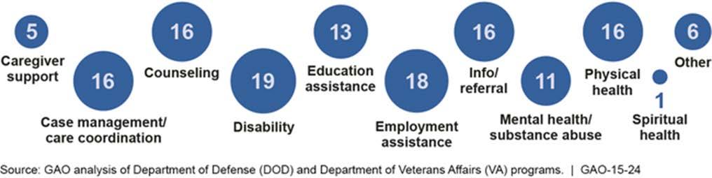 DoD and VA Programs for the