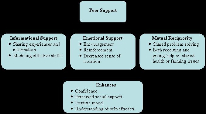 The Power of Peer Support *The Benefits of Peer Support. Adapted from: Heisler, M.