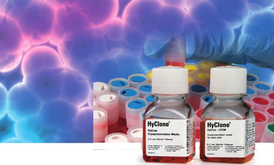NOW, with Thermo Scientific HyCryo and HyCryo-STEM cryopreservation media you can store your samples with even more confidence, knowing that our proven media design advances the recovery, viability