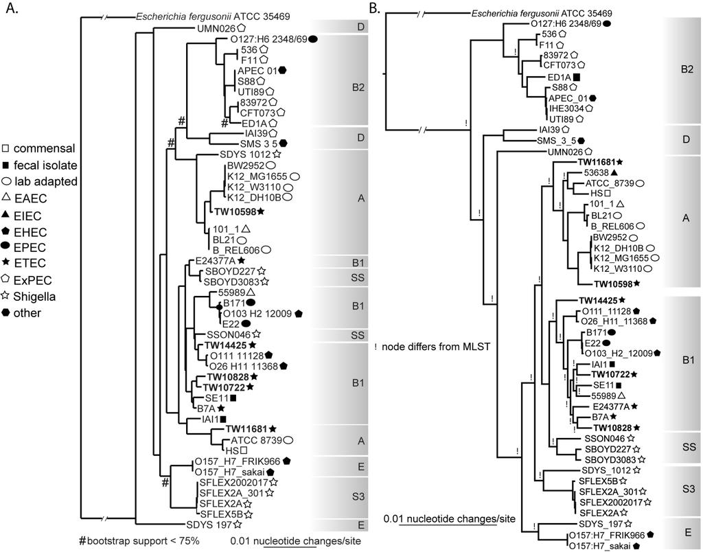 MLST vs Whole genome phylogeny Whole genome phylogeny is much more robust and