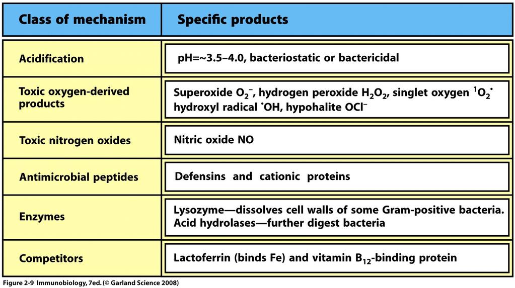 Bactericidal agents produced or released by