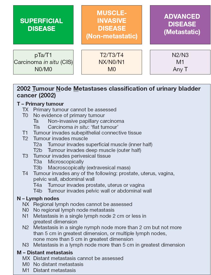 Appendix 3 TNM Classification of