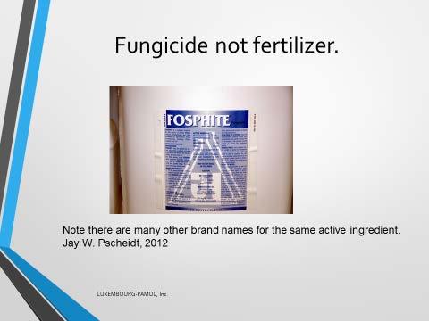 Confusion in the Marketplace Numerous phosphite fungicide and fertilizer products are currently on the market.