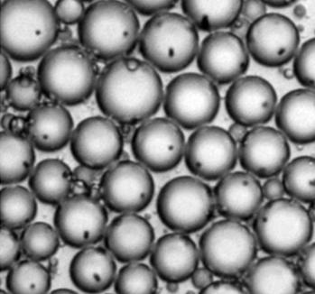 BEAMing Beads, Emulsions, Amplification & Magnetics mutation analysis in plasma Emulsion Characteristics Droplet size: 3-10 µm diameter 14-380 fl volume Droplet density: ~1.