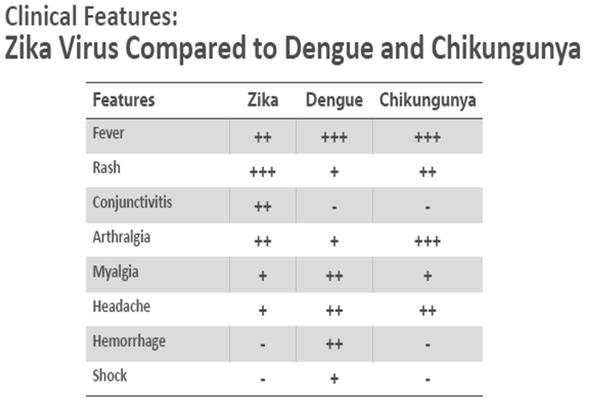 chikungunya can circulate in the same area and rarely cause coinfections Diseases have similar clinical features Important to rule out dengue, as proper