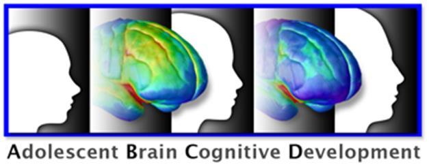 Adolescent Brain & Cognitive Development (ABCD) National Longitudinal Study Expert panel workshop developed recommendations on best large-scale designs and measures to assess developmental effects of