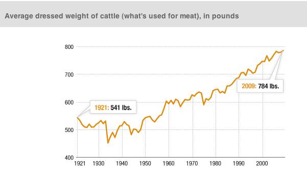 Figures and Tables Figure 1. (Barclay, 2012) The body weight per beef cow of usable meat after slaughter has increased significantly since 1921.