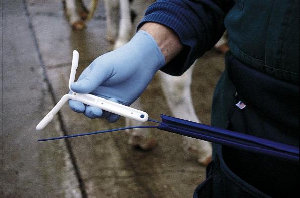 (Pfizer Animal Health, 2007) This is a photo of a CIDR, which is used to slowly release progesterone intravaginally in cattle.
