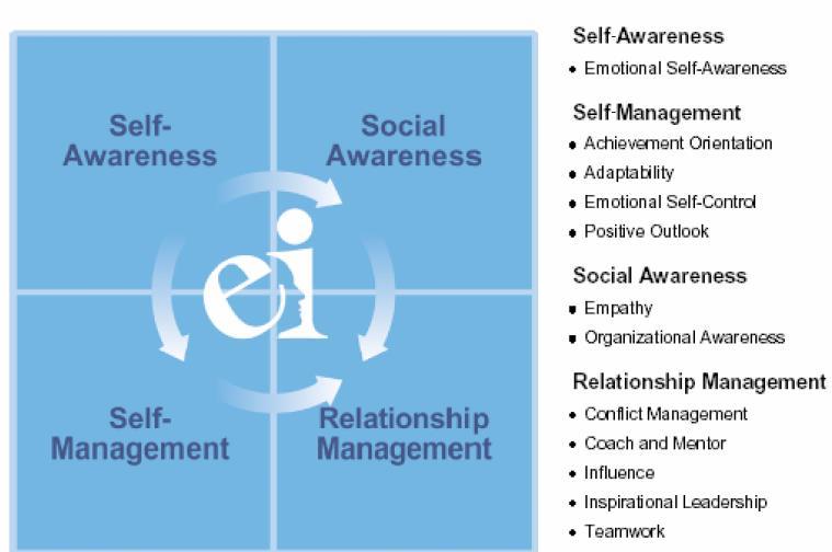 Hay Group/Korn Ferry Emotional and Social Competency