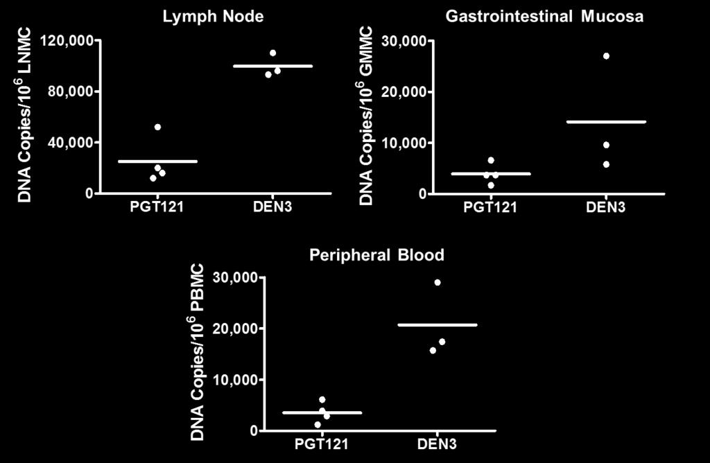 Decline of Proviral DNA in Lymph Nodes, GI Mucosa, and PBMC