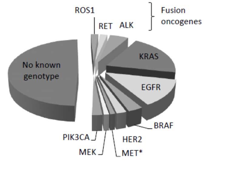EGFR- Mutation ~1% Adenokarzinom