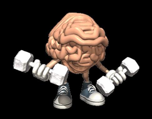 Mental exercise builds brain muscle Mental stimulation activates neural circuits associated with lower Alzheimer s risk Educational achievement, bilingualism, doing puzzles Lower dementia risk Memory