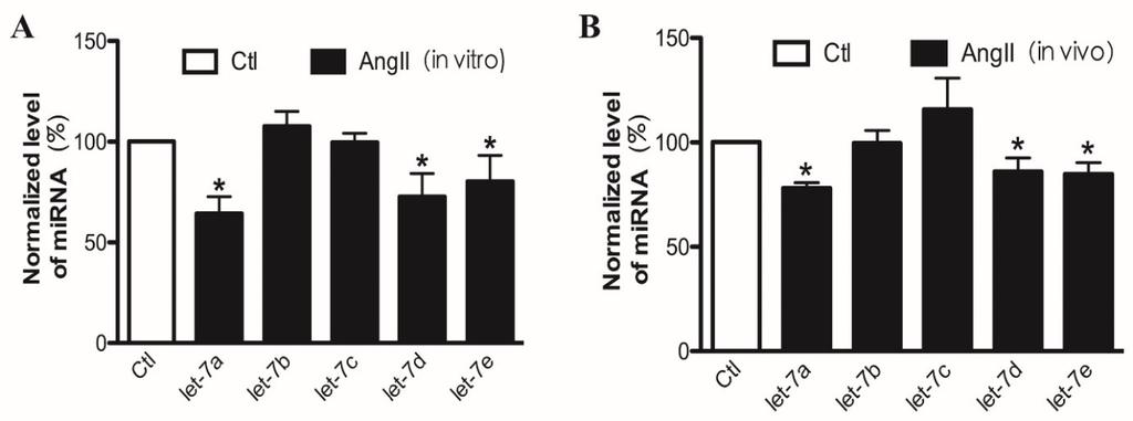 1A and 1B). AngII 1.5 mg/kg/day was subcutaneously injected in mice for 2 weeks to establish cardiac hypertrophy characterized by increased cross-sectional area of cardiomyocytes (P < 0.01, Fig.