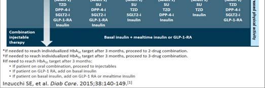 Insulin (1922) 1950 1960 1970 1980 1990 2000 2010 Matching Pharmacology to Pathophysiology Hepatic Glucose Output DeFronzo 1988; White, 1998 -Glucosidase Inhibitors Metformin (Thiazolidinediones)