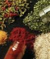 Spice It Up and Use Less Sodium Use More Spices and Less Salt An important part of healthy eating is choosing foods that are low in salt (sodium chloride) and other forms of sodium.