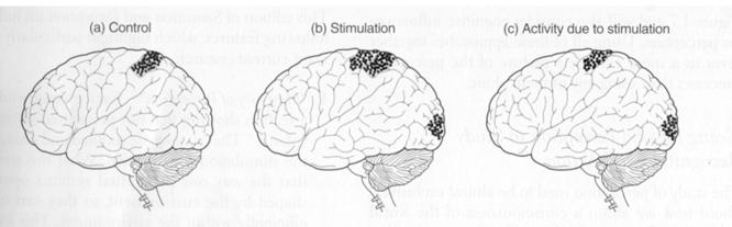 Subtraction technique Find state before stimulus Find state after stimulus Difference gives what was cause by stimulus Slide 75 Functional Magnetic Resonance Imaging (fmri) Hemoglobin has iron If