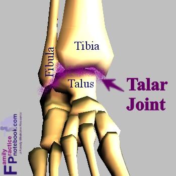 Ankle Pain Anterior ankle pain is common due to decreased dorsi-flexion (tight calf) coupled with