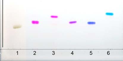 Chromatographic Behavior: Figure A. igh performance thin layer chromatography (PTLC) of fluorescent labelled gangliosides presented in the Schemes 3, 5, and 8.