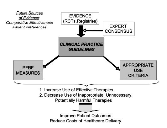 DEVELOPMENT OF CLINICAL PRACTICE GUIDELINES, PERFORMANCE MEASURES,