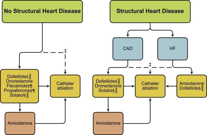 From: 2014 AHA/ACC/HRS Guideline for the Management of Patients With Atrial Fibrillation: Executive Summary: A Report of the American College of Cardiology/American Heart Association Task Force on